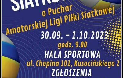 Zdjęcie do Turniej Siatk&oacute;wki o Puchar Amatorskiej Ligi Piłki Siatkowej