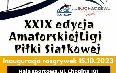 Zdjęcie do XXIX edycja Amatorskiej Ligi Piłki Siatkowej