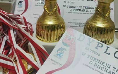 Zdjęcie do Turniej Tenisa Stołowego o Puchar Niepodległej